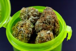 cannabis in green bottle regarding the cannabis companies mislabeling products class action lawsuit