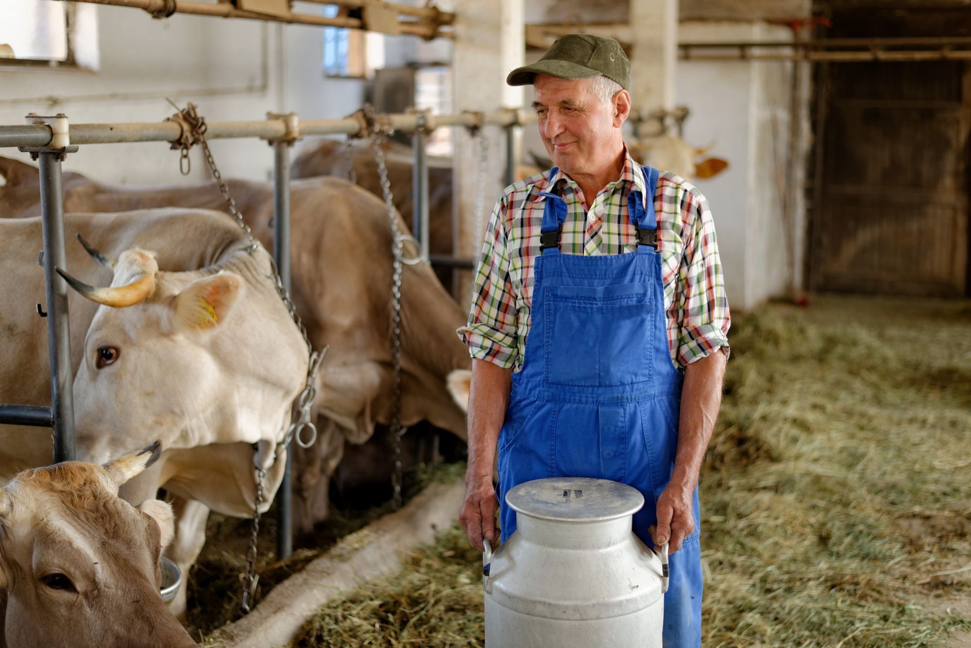 Dairy farmer regarding the Dairy Farmers of Canada still waiting for compensation from the government
