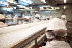 Group of factory workers regarding the Cargill COVID-19 class action lawsuit filed 