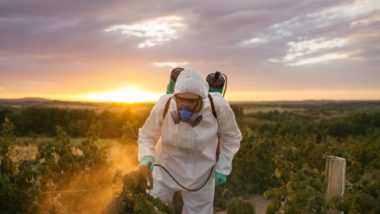 Man spraying Roundup regarding information on whether it's safe