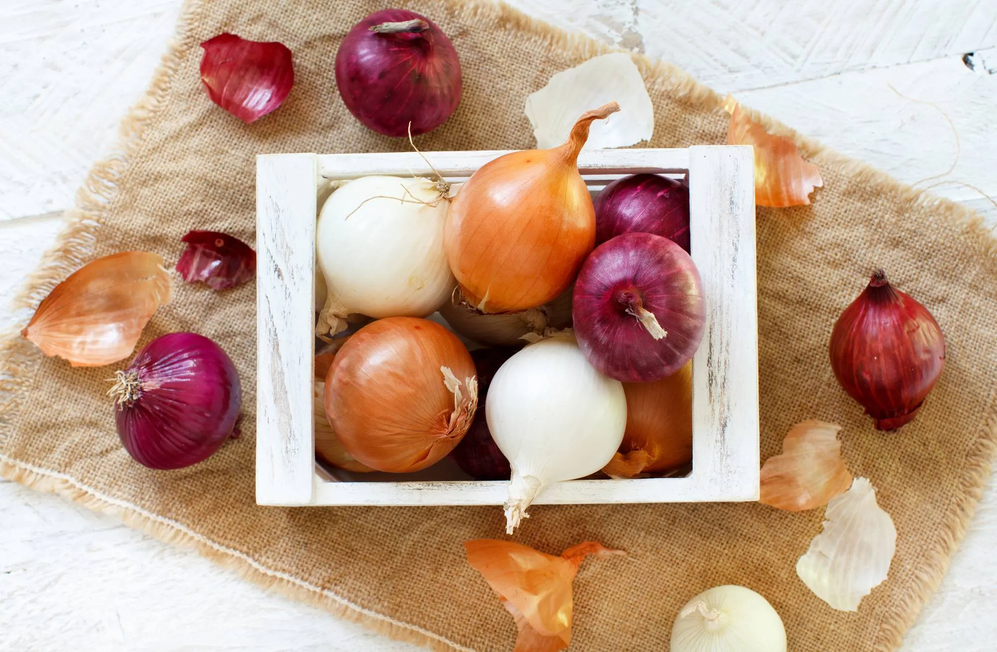 Onions regarding the recall due to salmonella outbreak 