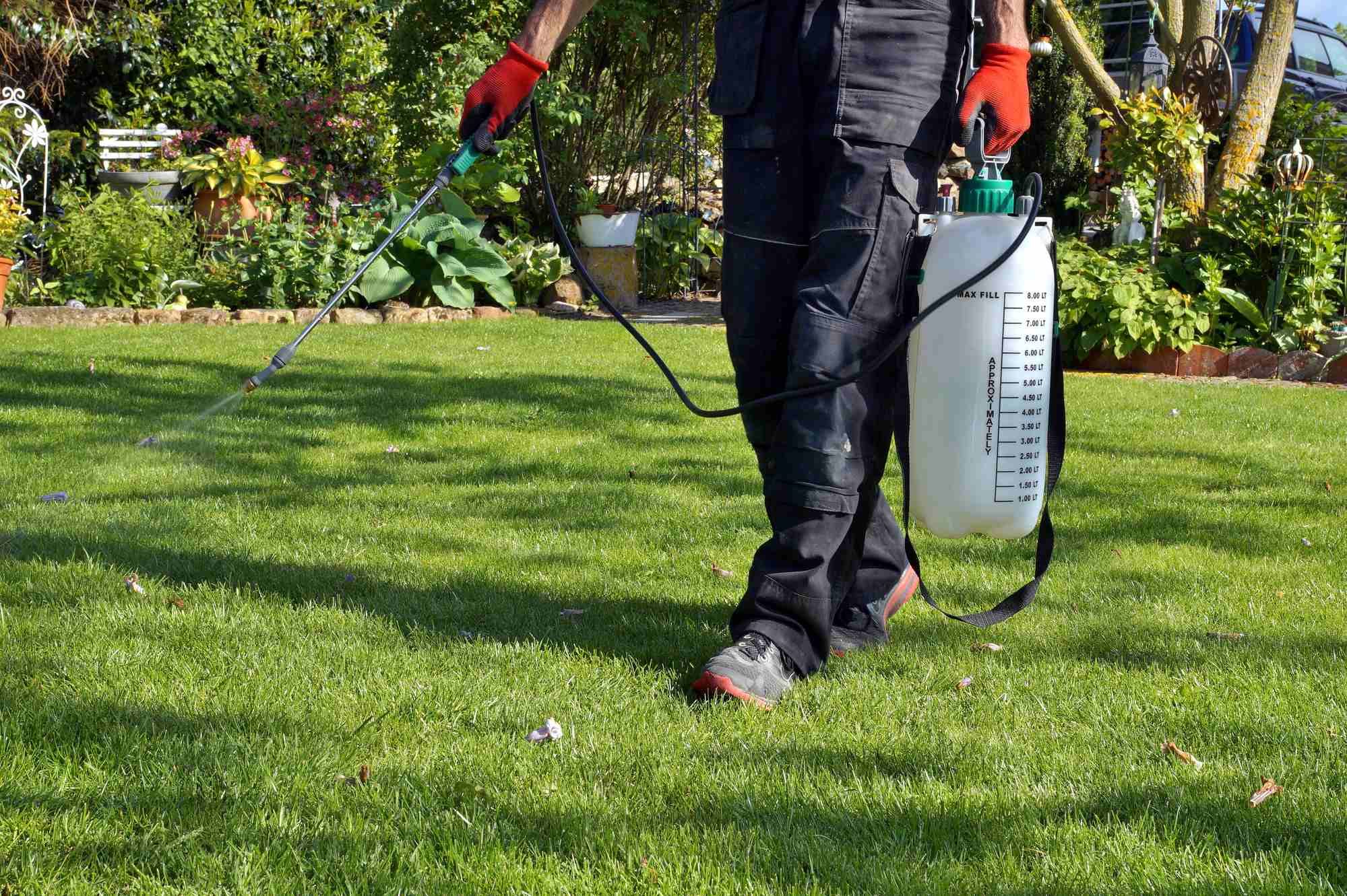 Person using Roundup regarding the Roundup cancer risks class action lawsuit