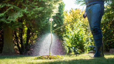 Person spraying "weed" regarding the roundup cancer risks class action lawsuit