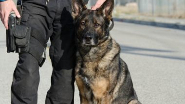 Officer and police dog regarding the vicious RCMP dog attack lawsuit