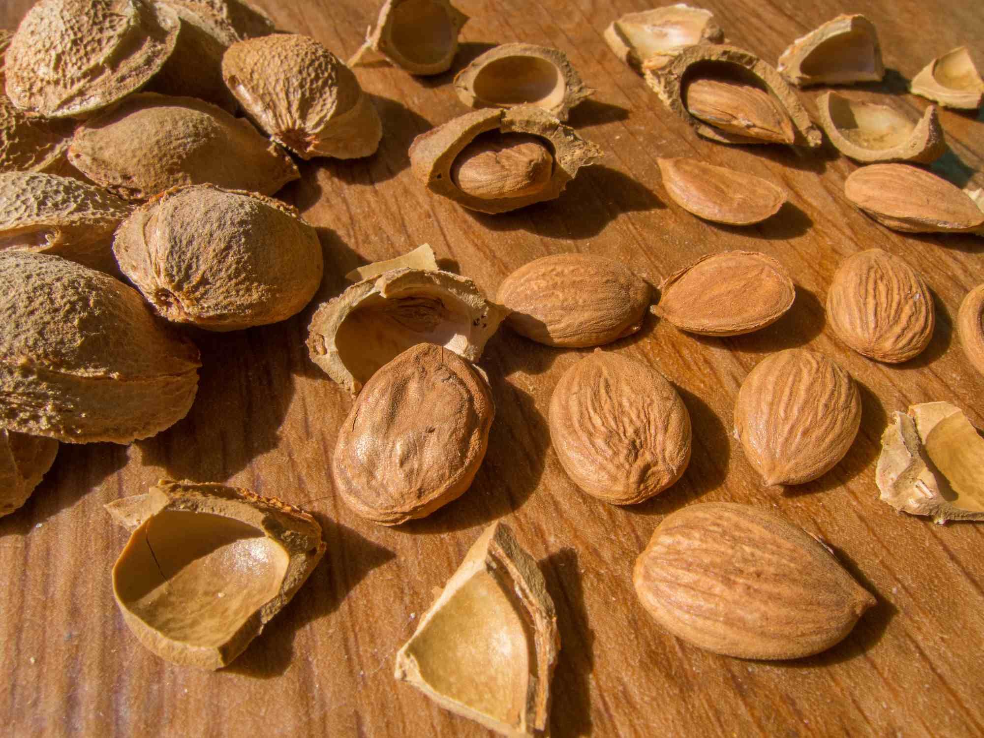 A recall has been made on Apricot seeds over potential cyanide poisoning.
