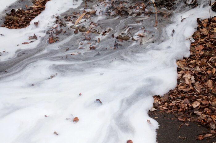 Firefighter Foam runs across ground - Mississippi Mills - Ramsay Meadows