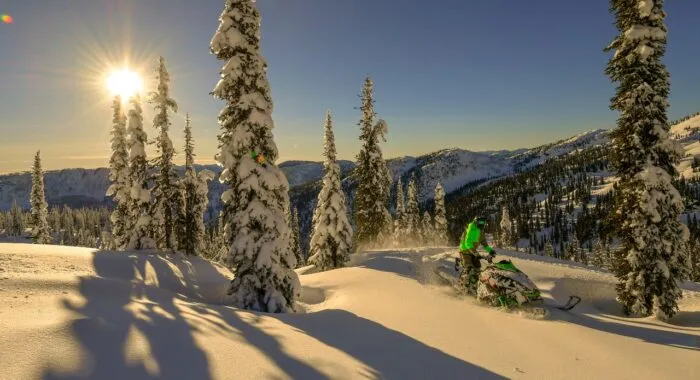 Pine trees and the ground covered with thick snow as the sun is low in the sky - Arctic Cat and Yamaha - snowmobiles - snowmobile settlement - defective starter