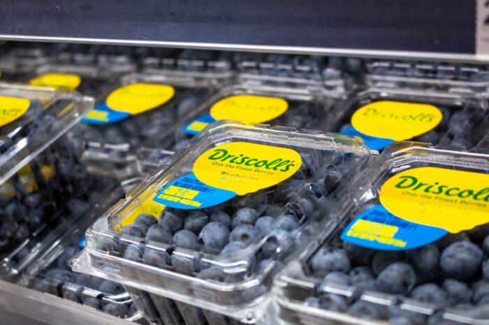 driscoll's blueberries recall