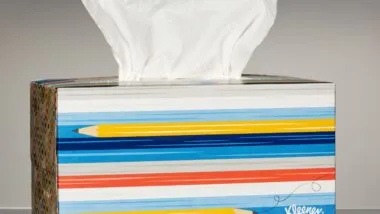 Kleenex Box, back to school design.