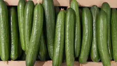 Close up of cucumbers, representing the cucumber recall.